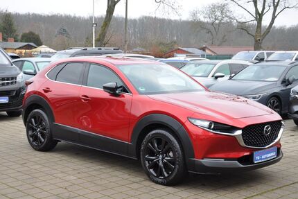 Mazda CX-30 15.000 km 23.990 &euro; Teltow 14513