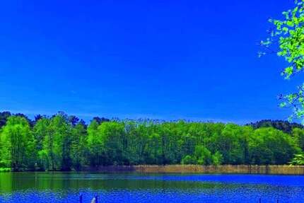 Haus zum Kaufen in Berlin 798.000 € 170 m² 6 zimmer