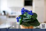 Etagenwohnung Berlin Tempelhof - 3 Zimmer, 4.507&euro; | Angebot:26820889