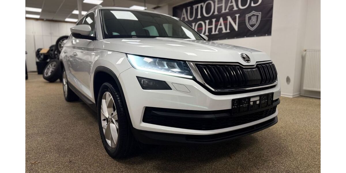 Skoda Kodiaq 172.000 km 17.760 &euro; Berlin 12351