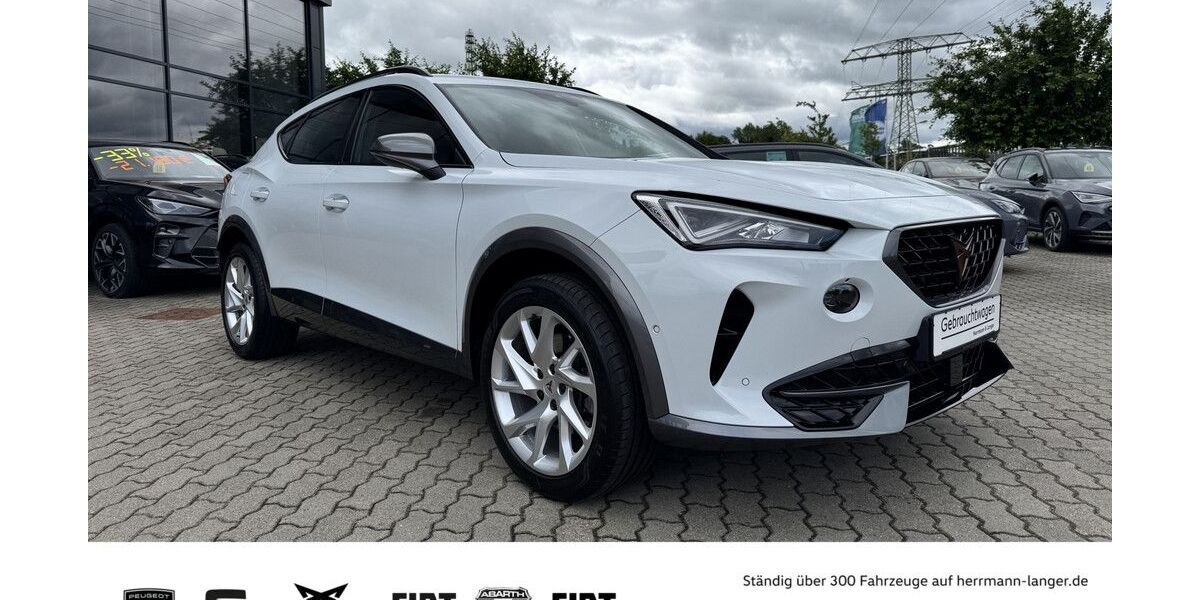Cupra Formentor 75.100 km 21.990 &euro; Potsdam 14482