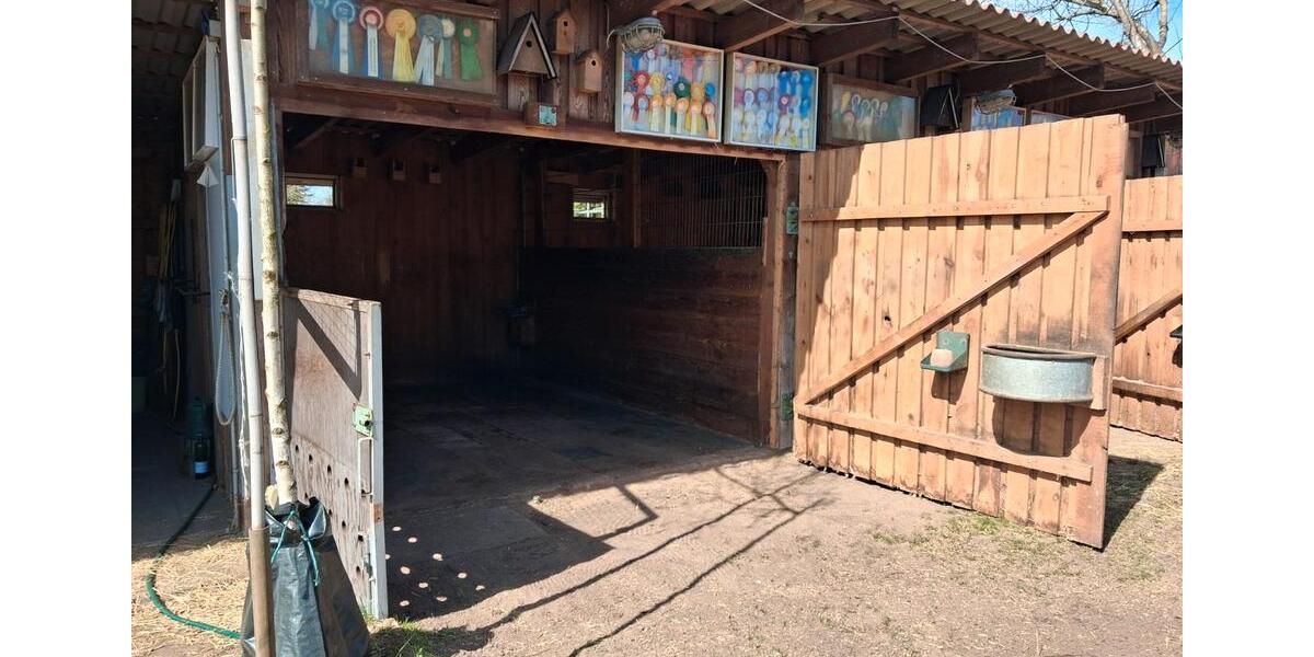 Bauernhaus, Landhaus Kloster Lehnin - 7 Zimmer, 170 m&sup2;, 655.000&euro; | Angebot:26795440