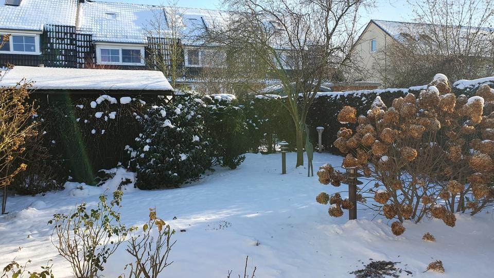 gepflegtes Reihenmittelhaus in Bornstedt zu vermieten 4 zimmer