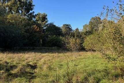 Grundstück in Teltow 1.350.000 € 2676 m² zimmer