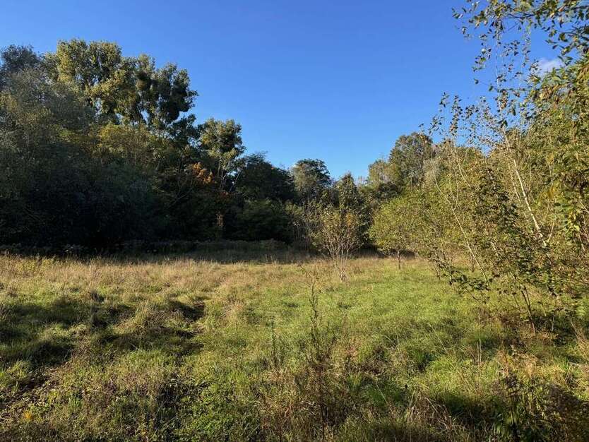 Grundstück in Teltow 1.350.000 € 2676 m² zimmer