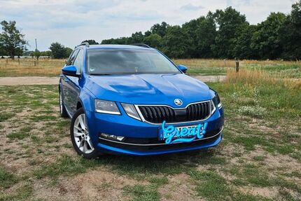 Skoda Octavia 95.000 km 18.190 &euro; Blankensee 14959