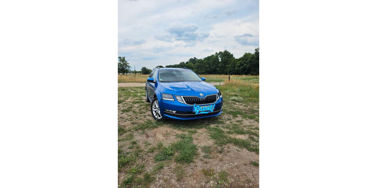 Skoda Octavia 95.000 km 18.190 &euro; Blankensee 14959