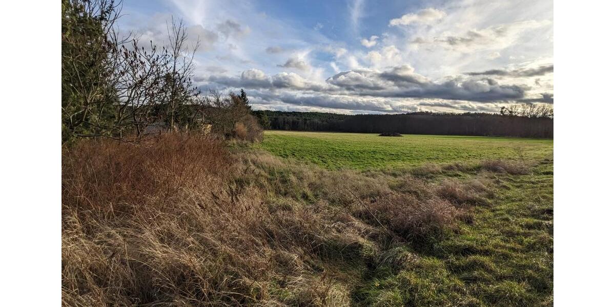 Einfamilienhaus Trebbin - 4 Zimmer, 110 m&sup2;, 110.000&euro; | Angebot:23289508