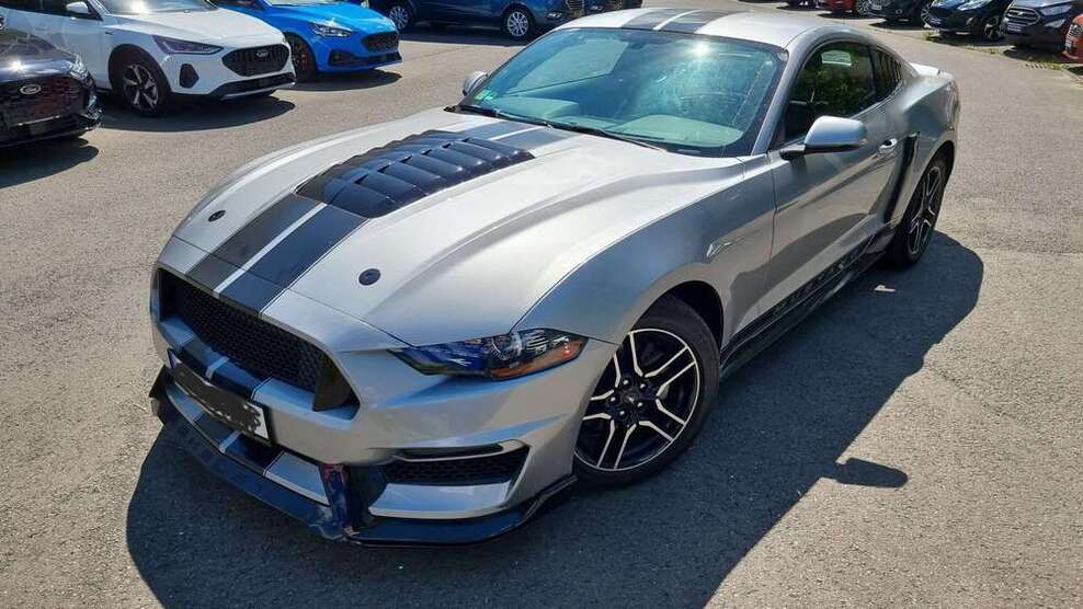 Mustang
