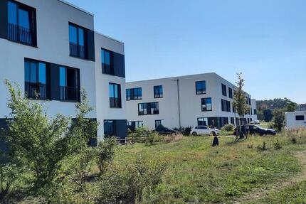 Smartes Studentenapartment zur Miete in Potsdam-Golm - Wentzel Dr. 1 zimmer