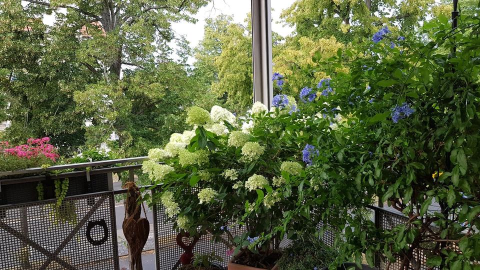 Etagenwohnung Potsdam Berliner Vorstadt - 2 Zimmer, 63 m&sup2;, 360.000&euro; | Angebot:25884434