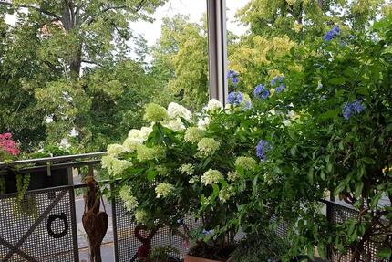 Wohnung Potsdam Berliner Vorstadt - 2 Zimmer, 63 m&sup2;, 360.000&euro; | Angebot:25884434