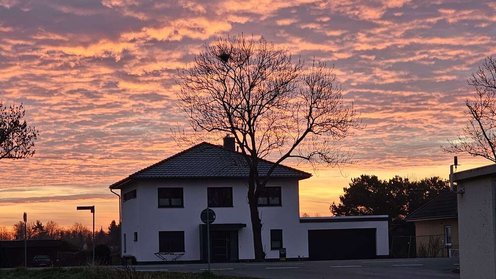 Einfamilienhaus Beelitz - 5 Zimmer, 188 m&sup2;, 840.000&euro; | Angebot:26066240