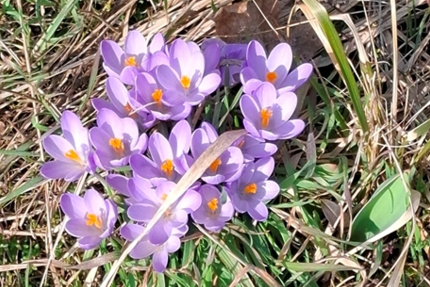 Grundstück Groß Kreutz (Havel) - 128.000&euro; | Angebot:26072891