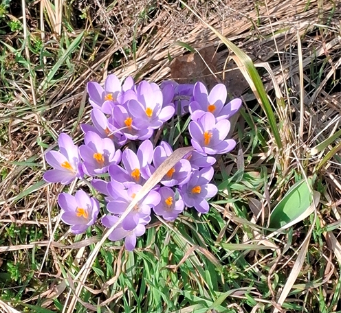 Grundstück Groß Kreutz (Havel) - 128.000&euro; | Angebot:26072891