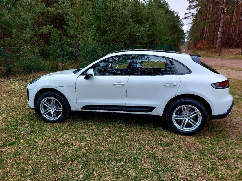 Macan