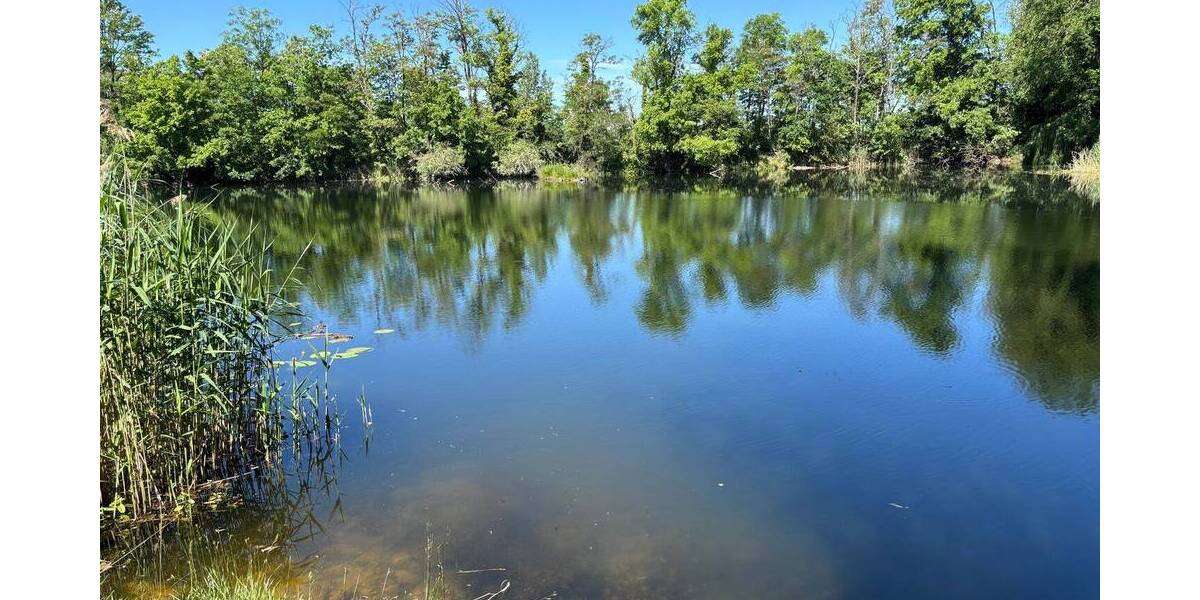 Einfamilienhaus Ketzin/Havel Ketzin - 2 Zimmer, 85.000&euro; | Angebot:26840769