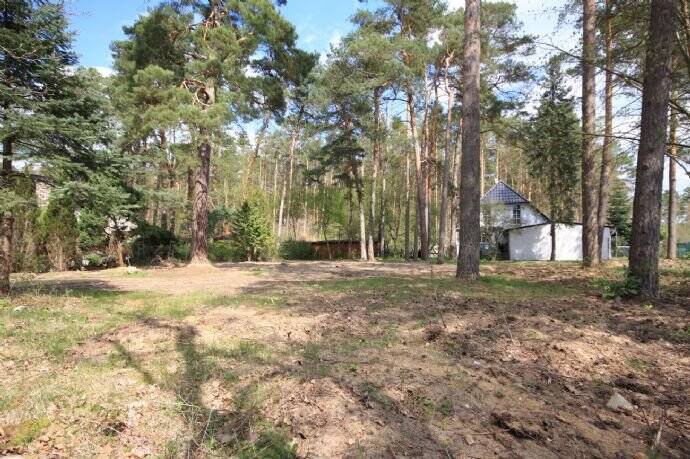 Grundstück Beelitz / Fichtenwalde Fichtenwalde - 249.000&euro; | Angebot:25699564