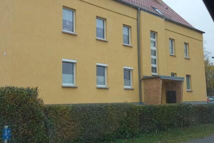 3-Zimmer-Wohnung, WerderH., sofort frei 3 zimmer