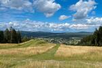 Hochparterre Kleinmachnow - 1 Zimmer, 25 m&sup2;, 60.000&euro; | Angebot:26888830