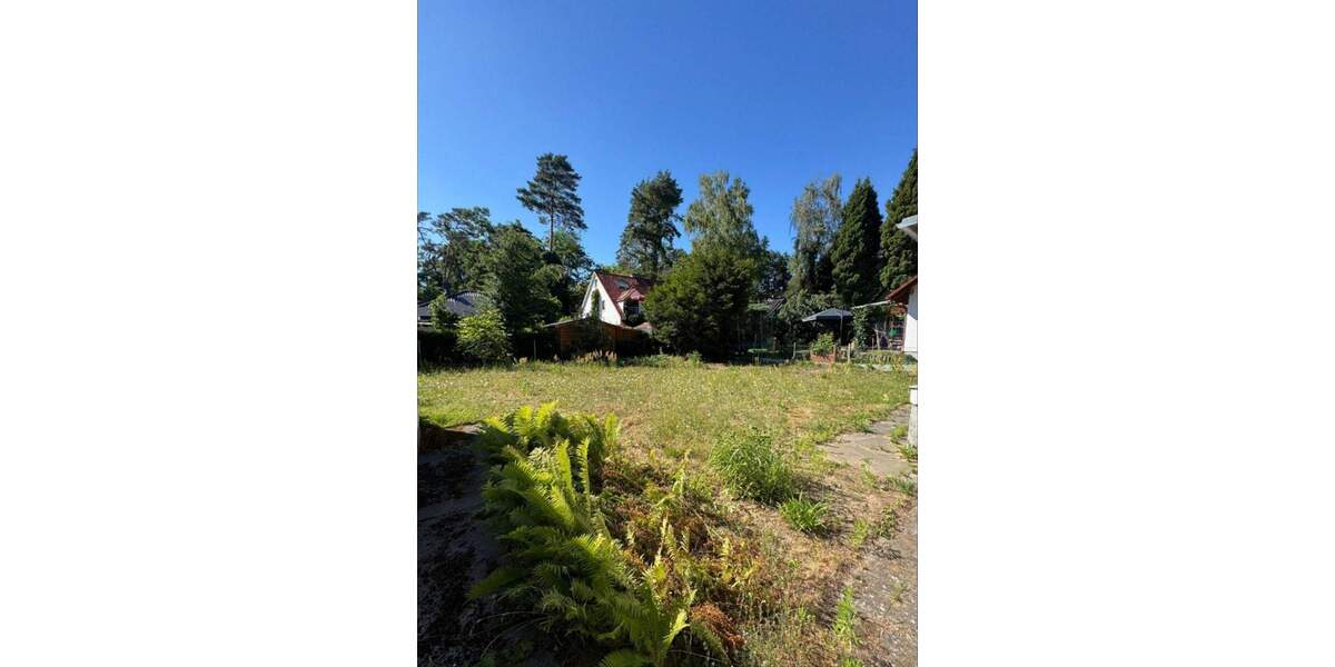 KahlowImmobilien.berlin* Baugrundstück in zweiter Reihe in Konradshöhe zimmer