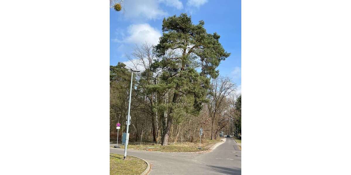 100 m² großes Reihenhaus in Falkensee, nahe Potsdam + Berlin, ruhige Siedlungslage, Einfamilienhaus 4 zimmer