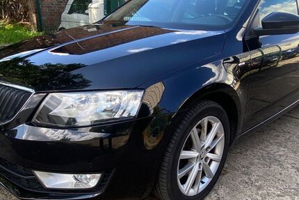 Skoda Octavia 170.000 km 11.490 € Berlin-Lichtenberg 10365