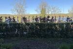 Etagenwohnung Potsdam - 3 Zimmer, 112 m&sup2;, 2.565&euro; | Angebot:25145687