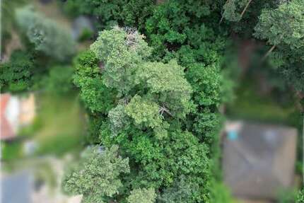 Grundstück zu verkaufen in Rangsdorf 350.000 € 1237 m² zimmer