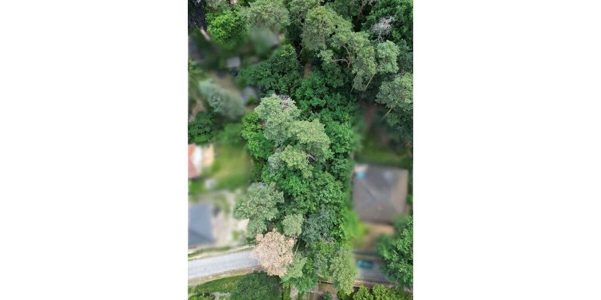 Grundstück zu verkaufen in Rangsdorf 350.000 € 1237 m² zimmer