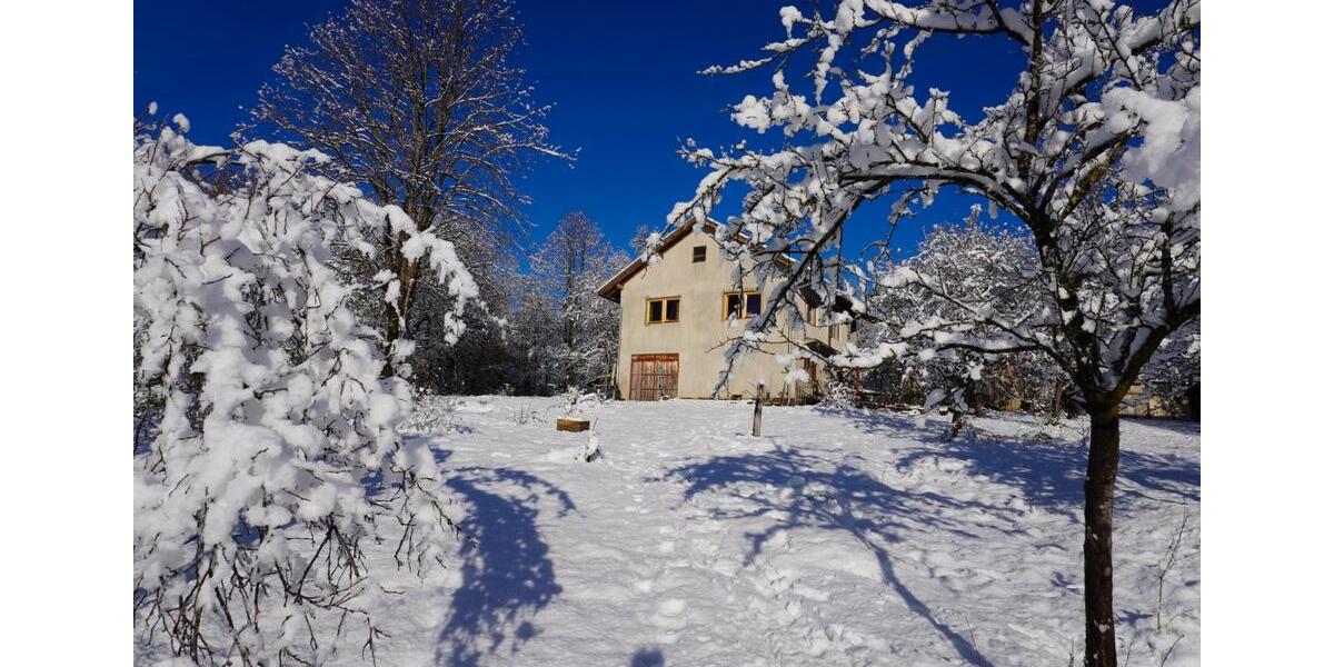 Einfamilienhaus Berlin Mitte - 62.000&euro; | Angebot:26764916