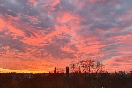 Wohnung Berlin Neukölln - 1 Zimmer, 35 m&sup2;, 795&euro; | Angebot:26097444