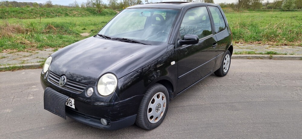 Lupo