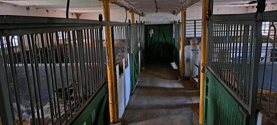 Einfamilienhaus Kloster Lehnin - 4 Zimmer, 130 m&sup2;, 350.000&euro; | Angebot:26262341