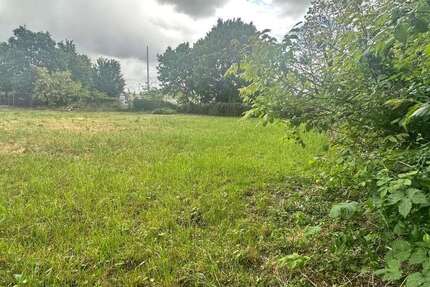 Grundstück zu verkaufen in Potsdam 199.000 € 600 m² zimmer