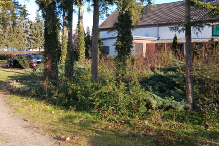 Haus Groß Kreutz (Havel) - 6 Zimmer, 215 m&sup2;, 549.000&euro; | Angebot:26097026