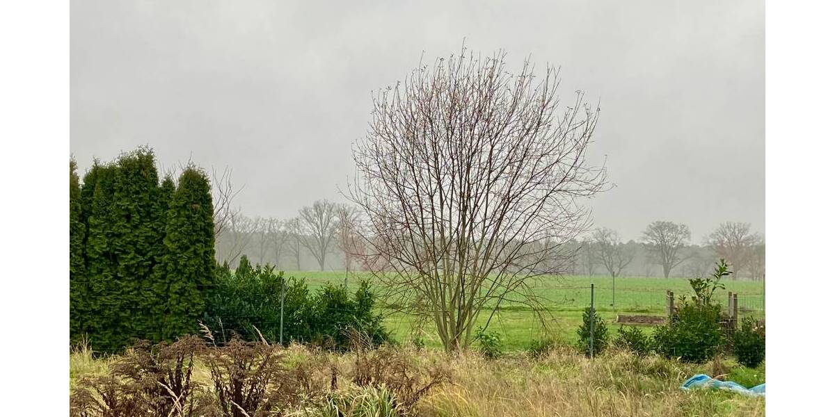 Grundstück Groß Kreutz Schenkenberg - 159.000&euro; | Angebot:25799925