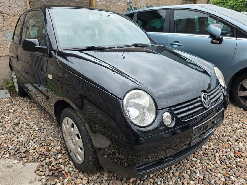 Lupo
