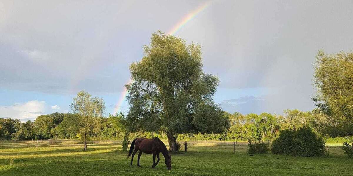 Einfamilienhaus Dallgow-Döberitz Döberitz - 9 Zimmer, 230 m&sup2;, 830.000&euro; | Angebot:25860657