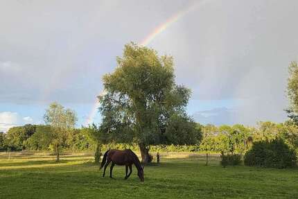 Haus Dallgow-Döberitz Döberitz - 9 Zimmer, 230 m&sup2;, 830.000&euro; | Angebot:25860657
