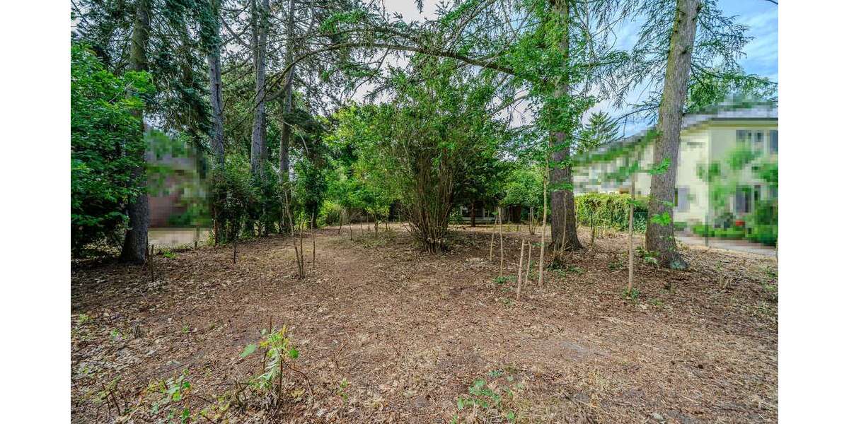 Grundstück zu verkaufen in Groß Glienicke 449.000 € 761 m² zimmer