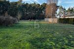 TRAUMHAFTE NATUR NÄHE RIETZER SEE - Grundstück Kloster Lehnin | Angebot:26765737