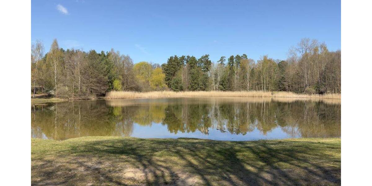 Einfamilienhaus Schönwalde-Glien Schönwalde-Siedlung - 6 Zimmer, 130 m&sup2;, 579.000&euro; | Angebot:26142793