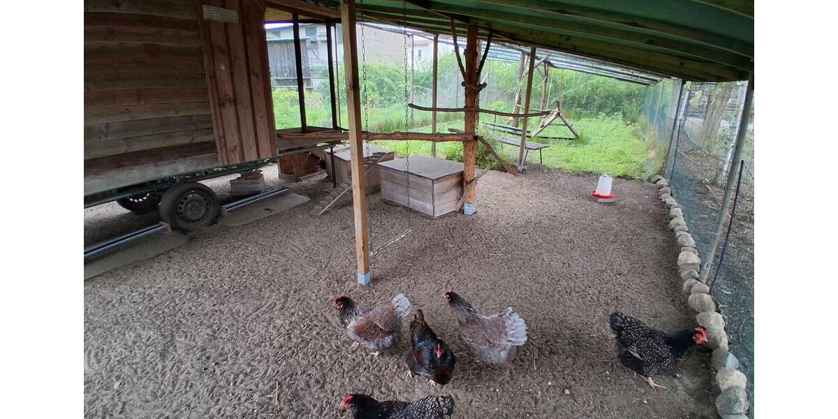 Bauernhaus, Landhaus Kloster Lehnin - 7 Zimmer, 170 m&sup2;, 655.000&euro; | Angebot:26795440