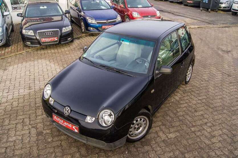 Lupo