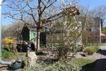 Exklusives Energiesparhaus auf Hermannswerder in außergewöhnlicher Insellage - Reihenendhaus Potsdam Südliche Innenstadt | Angebot:26931438