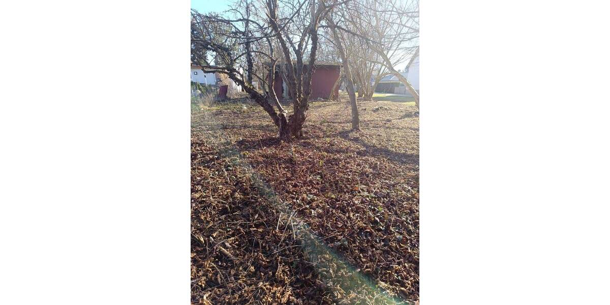 Grundstück Brieselang - 280.000&euro; | Angebot:26242615