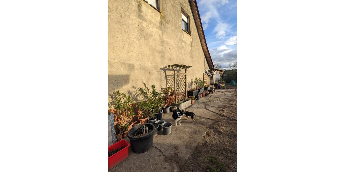 Einfamilienhaus Trebbin - 4 Zimmer, 110 m&sup2;, 110.000&euro; | Angebot:23289508