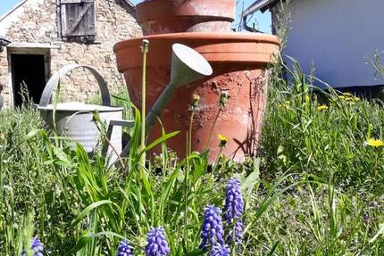 Haus am Balaton zimmer