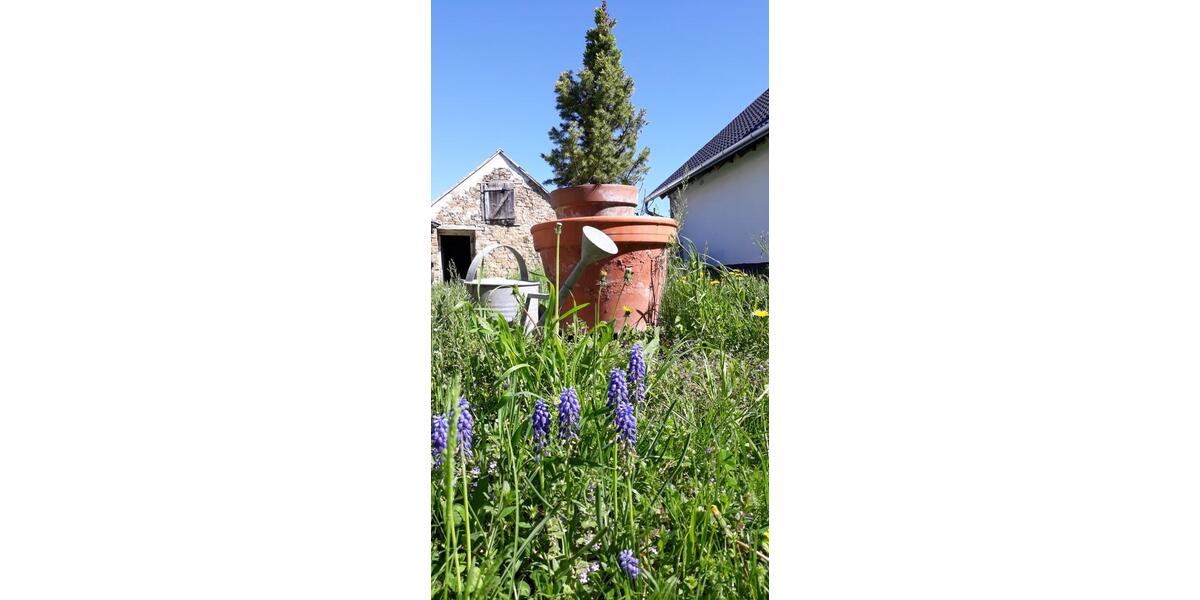 Haus am Balaton zimmer